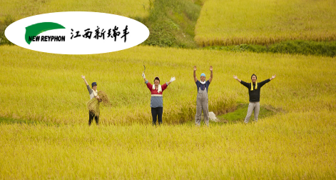 新瑞豐-百年基業(yè)，信息為本，以農(nóng)為先